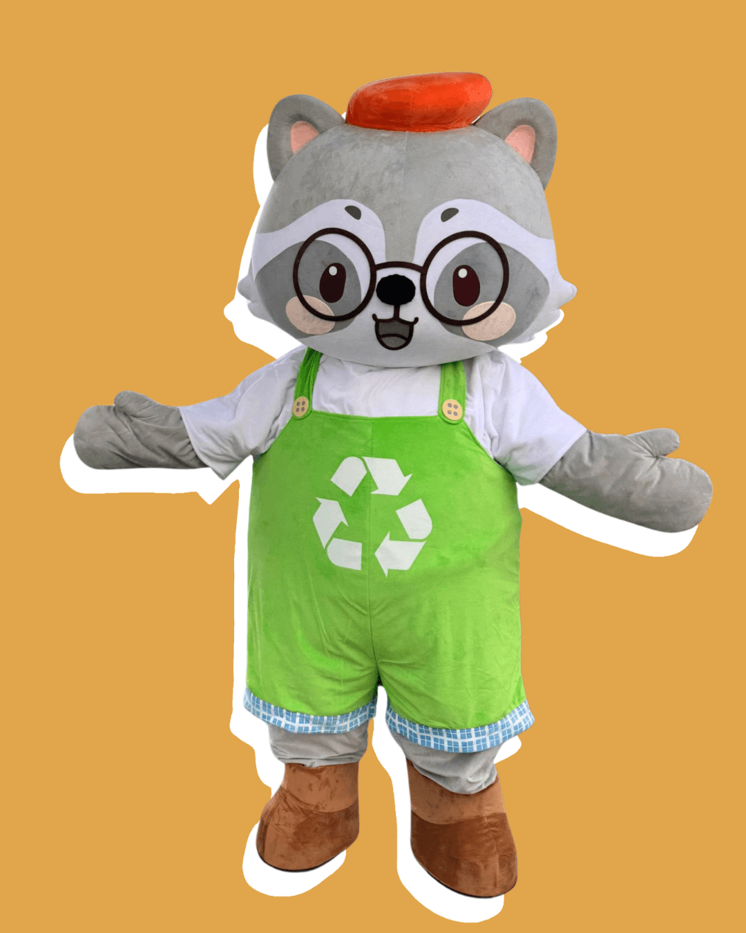 Raven Raccoon mascot